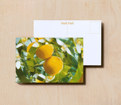 Snail Mail Postcard  - Naps in the Grove
