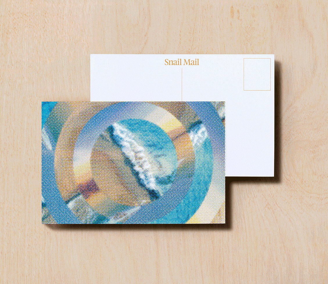 Snail Mail Postcard  - Rolling Wave After Rolling Wave After Rolling Wave